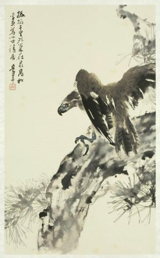 Eagle on a Pine Tree