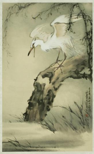 Egret on a Willow Tree