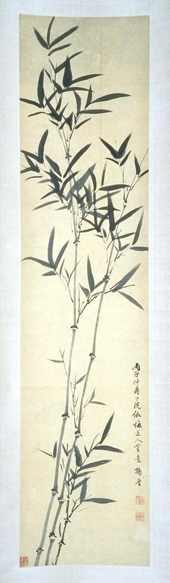 Bamboo