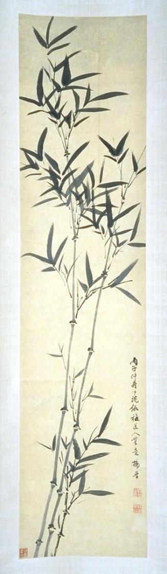 Bamboo