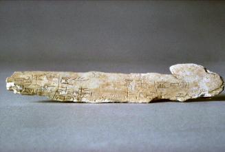 Fragment of oracle bone