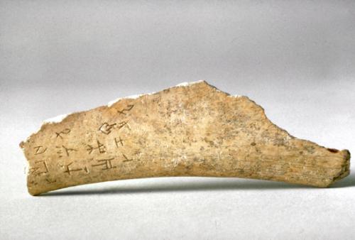 Fragment of oracle bone