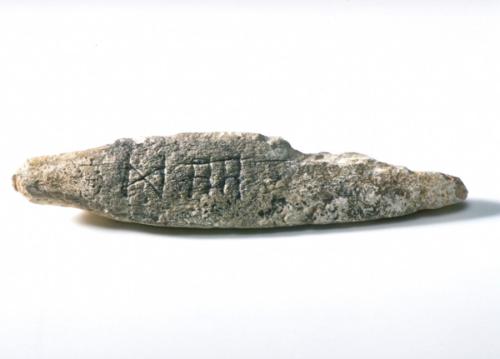 Fragment of oracle bone