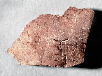 Fragment of oracle bone