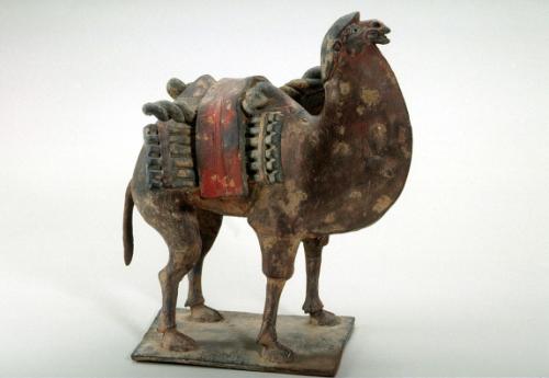 Bactrian camel