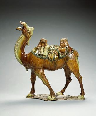 Camel