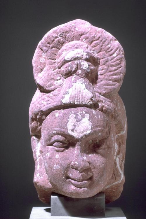 Head of a bodhisattva