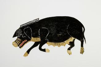 Boar