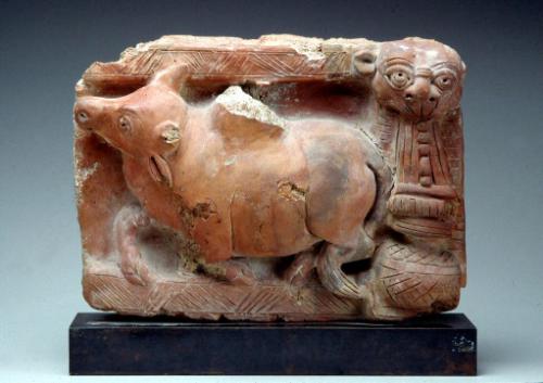 A bull, possibly Nandi