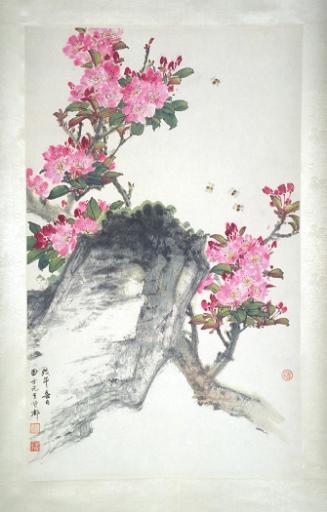 Plum Blossoms