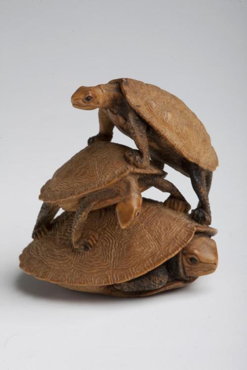 Three generations of turtles piled on top of one another