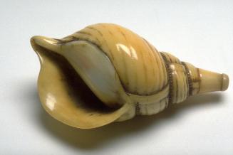 Conch shell trumpet