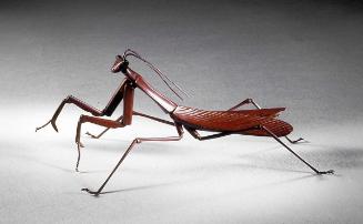 Articulated praying mantis