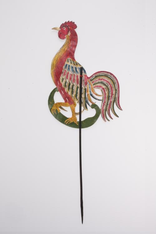 A rooster