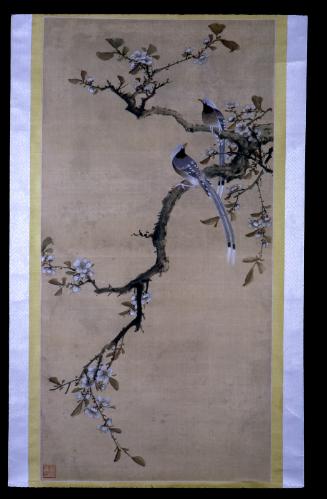 Two birds on a flowering branch