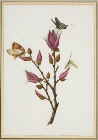 Flowering branch with butterflies