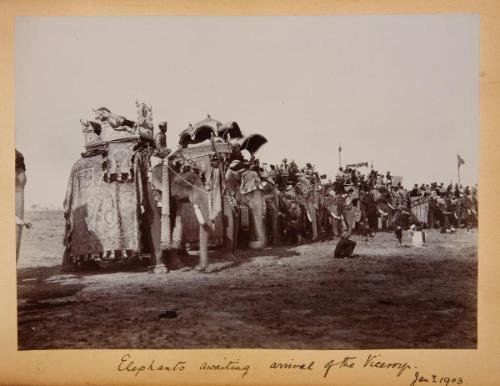 A: Elephants Awaiting Arrival of the Viceroy, Jan. 1 [?] 1903; B: Bengal Cavalry Polo Tournament, Umballa. [?] 1903