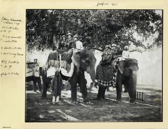 Elephants with riders in Jaipur