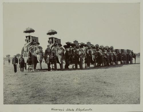 Viceroy's State Elephants