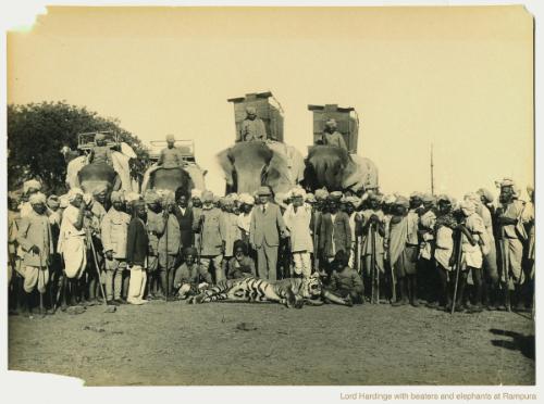 Lord Hardinge with Beaters and elephants at Rampura