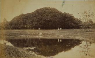 The great Banian tree in the Royal Botanical Garden, Calcutta