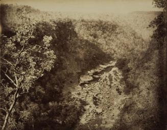 View of a river from above