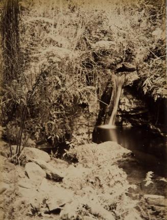 A waterfall, trees and rocks