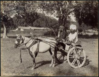 An Ekka -- Benares