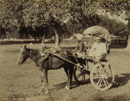 An Ekka, Benares.