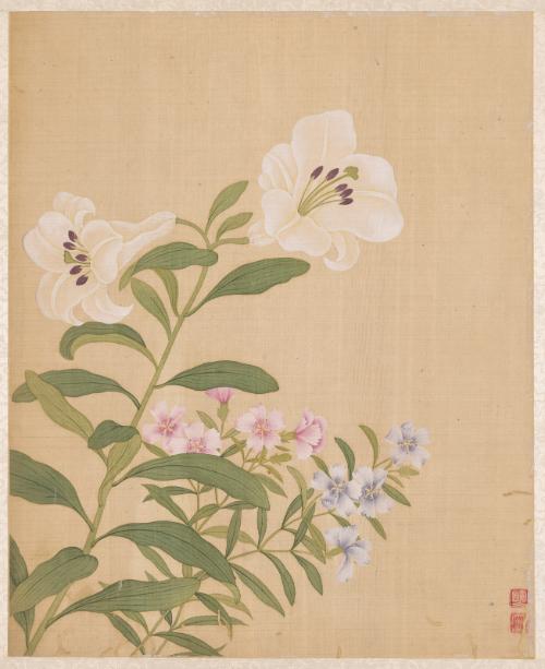 Lily and Pinks, from the Flowers of the Twelve Months: May