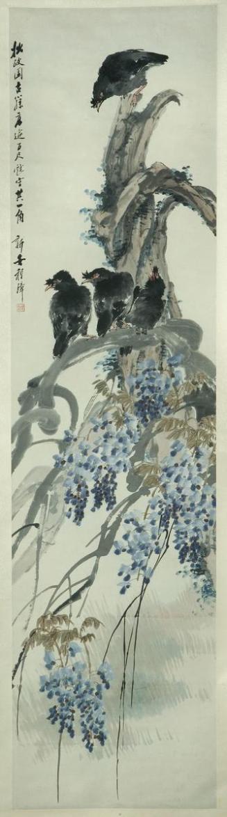 Mynah and Wisteria in Zhuozheng Garden, Suzhou