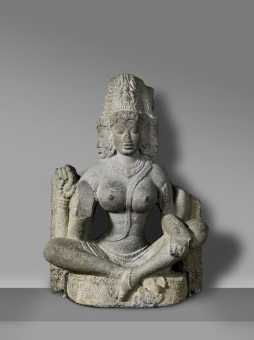 The Hindu deity Brahmani