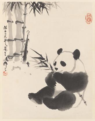 Panda Eating Bamboo