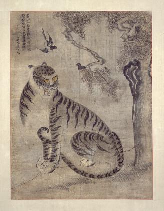 Tiger and magpies