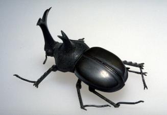 Articulated Japanese rhinoceros beetle