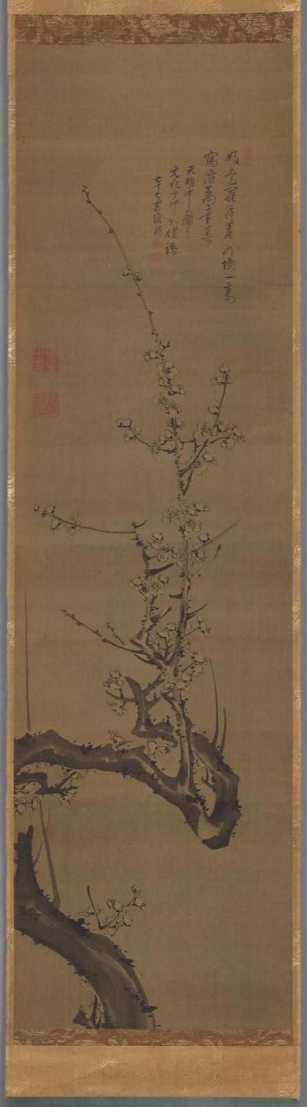 Plum blossoms