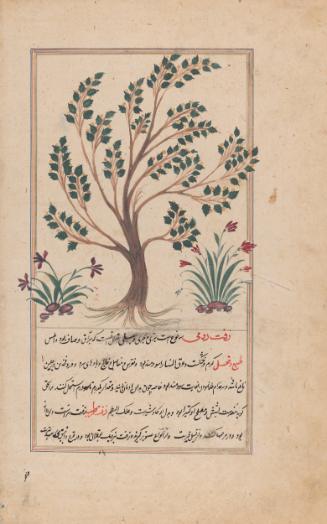 Page from a manuscript of al-Qazvini's Marvels of Things Created and Miraculous Aspects of Things Existing (Aja'ib al-makhluqat wa-ghara'ib al-mawjudat)