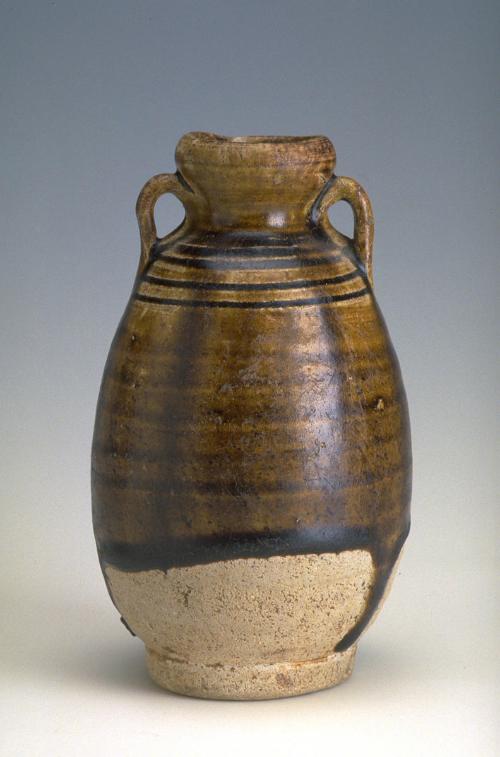 Two-handled bottle